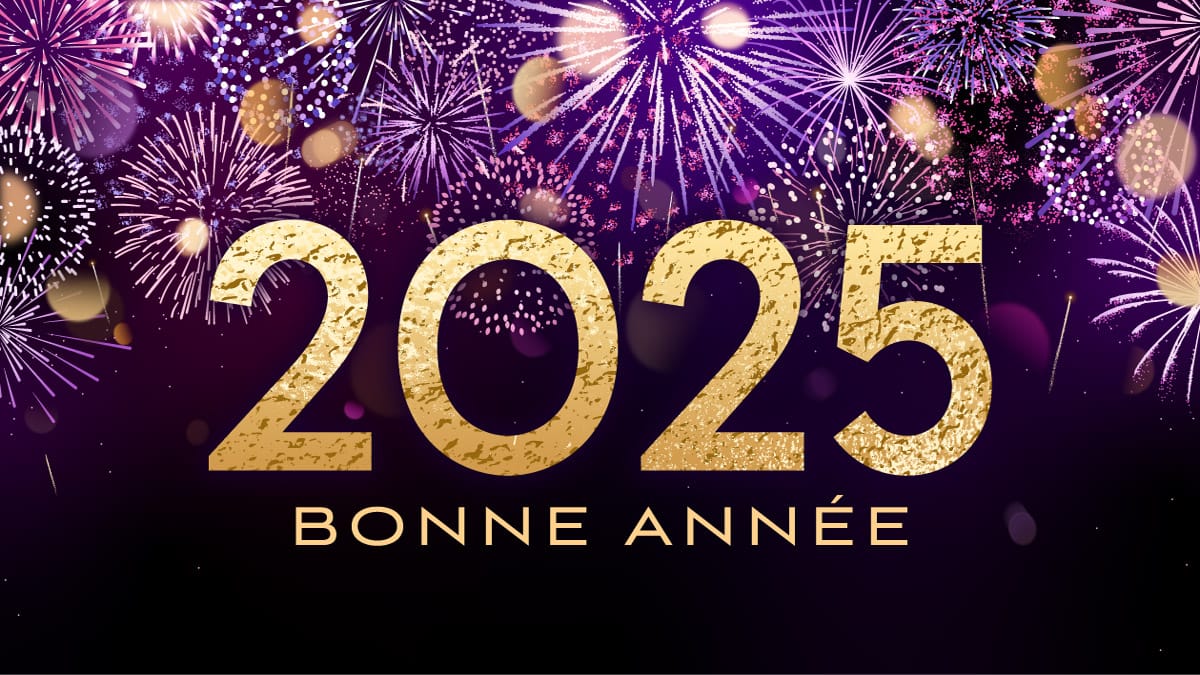 Lire la suite à propos de l’article Bonne année 2025